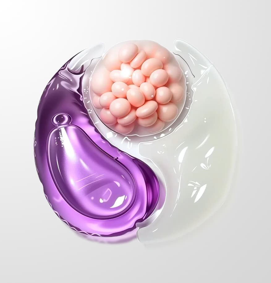 CelestWings / Three-Chamber Scented Laundry detergent Pods